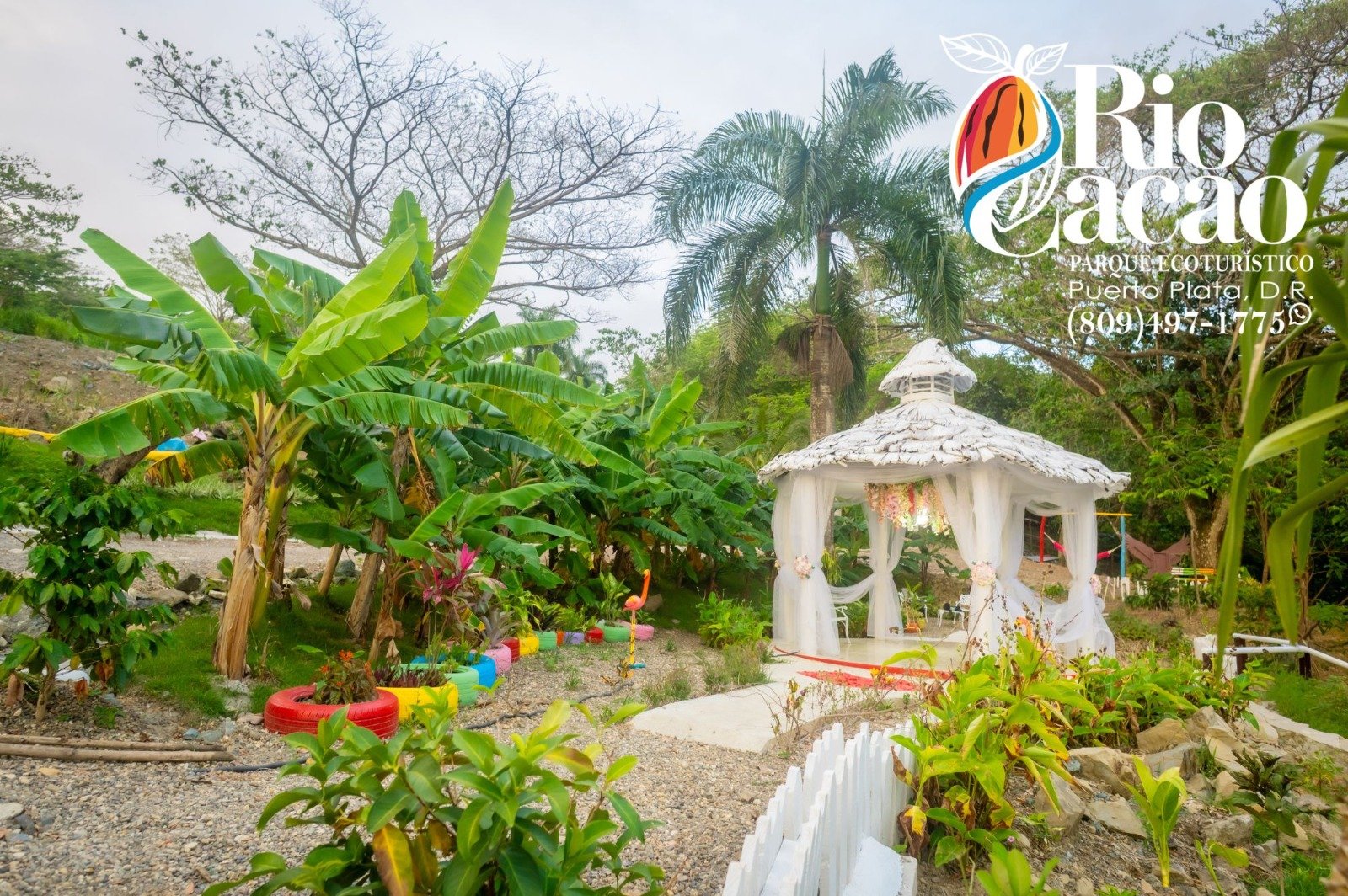 en puerto plata rio cacao